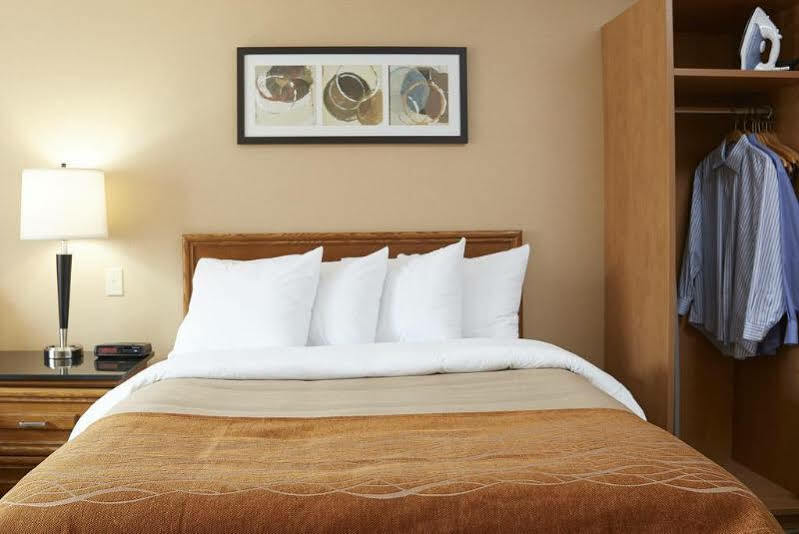 Comfort Inn Пикъринг Екстериор снимка